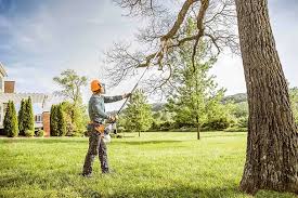 Best Lawn Maintenance Plans  in Belmont, WI