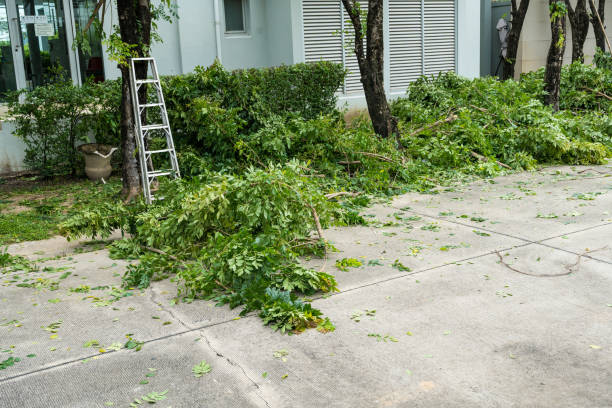 Best Lawn Mowing  in Belmont, WI