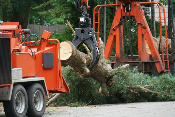 Lawn Watering Services in Belmont, WI