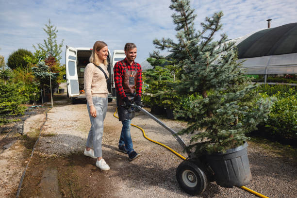 Best Tree Mulching  in Belmont, WI